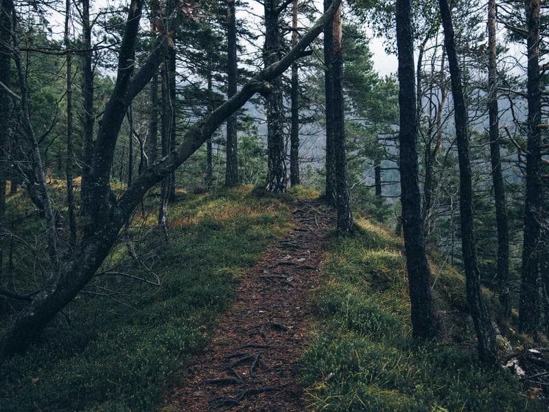 Mon espace d'accueil